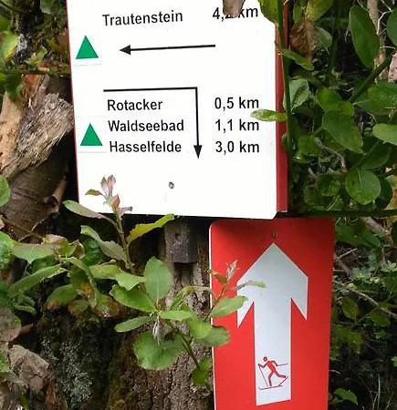 Harzbiene-Haus-17-Blauvogel *